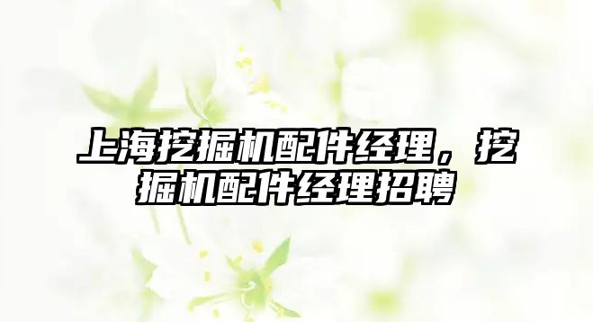 上海挖掘機(jī)配件經(jīng)理，挖掘機(jī)配件經(jīng)理招聘