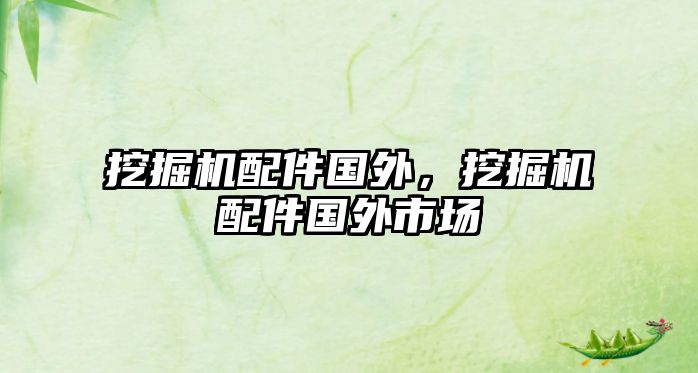 挖掘機(jī)配件國(guó)外，挖掘機(jī)配件國(guó)外市場(chǎng)