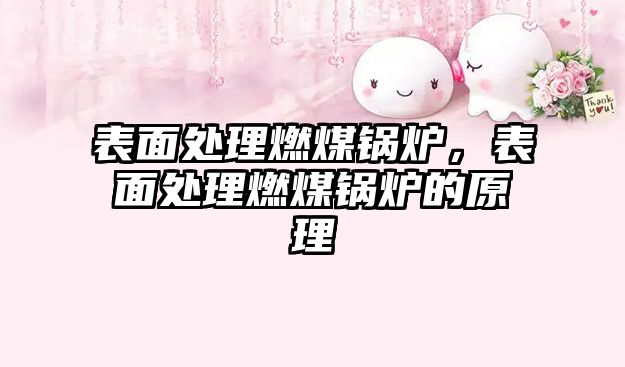 表面處理燃煤鍋爐，表面處理燃煤鍋爐的原理