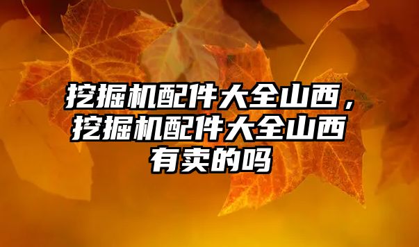 挖掘機(jī)配件大全山西，挖掘機(jī)配件大全山西有賣的嗎
