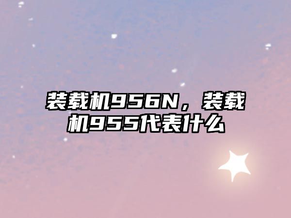 裝載機956N，裝載機955代表什么