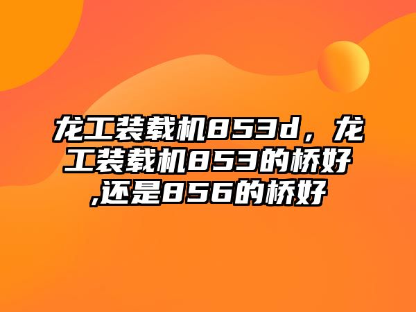 龍工裝載機853d，龍工裝載機853的橋好,還是856的橋好
