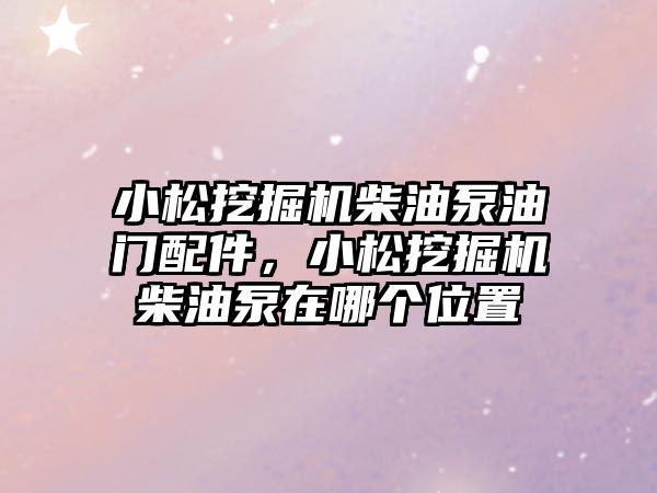 小松挖掘機柴油泵油門配件，小松挖掘機柴油泵在哪個位置