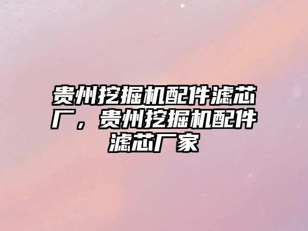 貴州挖掘機(jī)配件濾芯廠，貴州挖掘機(jī)配件濾芯廠家