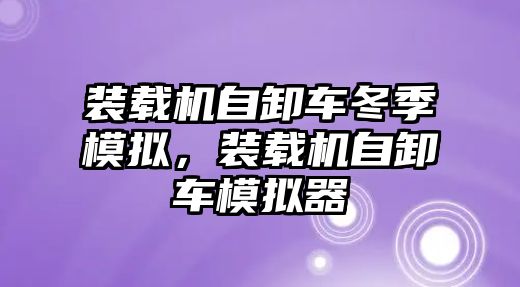 裝載機(jī)自卸車冬季模擬，裝載機(jī)自卸車模擬器