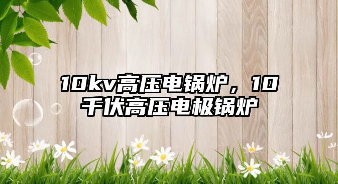 10kv高壓電鍋爐，10千伏高壓電極鍋爐