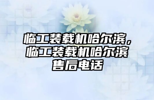 臨工裝載機(jī)哈爾濱，臨工裝載機(jī)哈爾濱售后電話