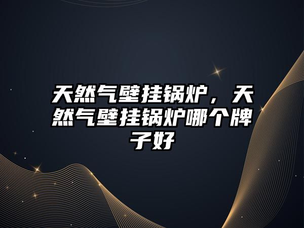 天然氣壁掛鍋爐，天然氣壁掛鍋爐哪個牌子好