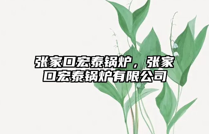 張家口宏泰鍋爐，張家口宏泰鍋爐有限公司