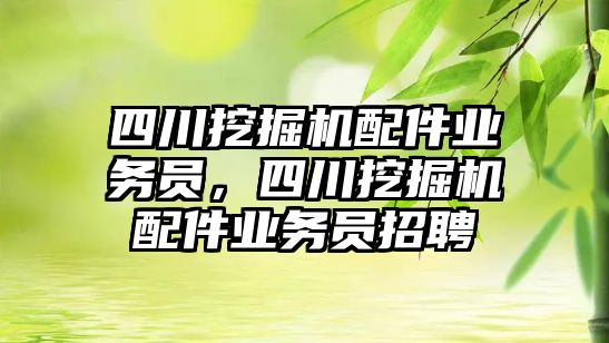 四川挖掘機(jī)配件業(yè)務(wù)員，四川挖掘機(jī)配件業(yè)務(wù)員招聘