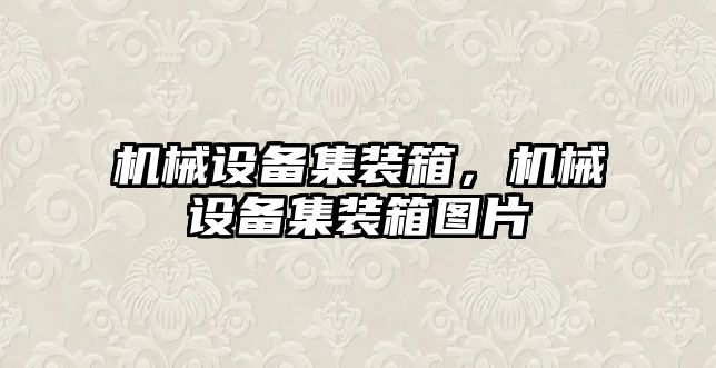 機(jī)械設(shè)備集裝箱，機(jī)械設(shè)備集裝箱圖片
