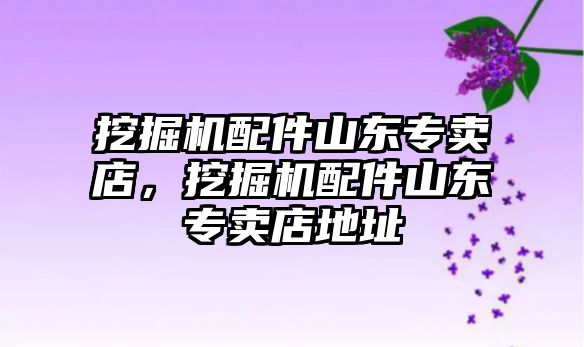 挖掘機(jī)配件山東專賣店，挖掘機(jī)配件山東專賣店地址