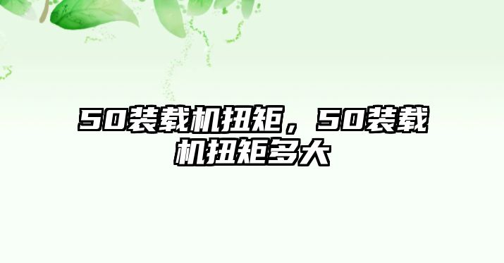 50裝載機(jī)扭矩，50裝載機(jī)扭矩多大