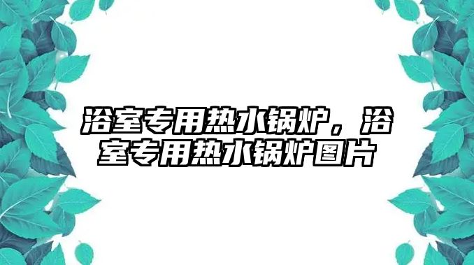 浴室專用熱水鍋爐，浴室專用熱水鍋爐圖片