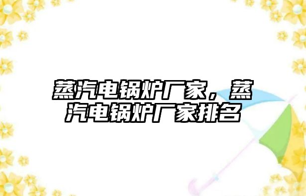 蒸汽電鍋爐廠家，蒸汽電鍋爐廠家排名