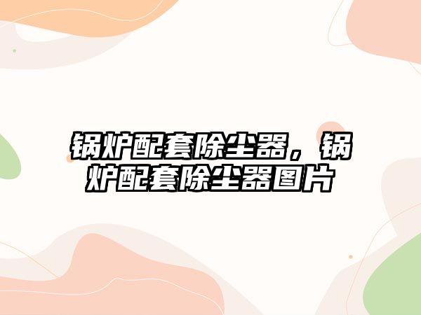 鍋爐配套除塵器，鍋爐配套除塵器圖片