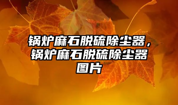 鍋爐麻石脫硫除塵器，鍋爐麻石脫硫除塵器圖片
