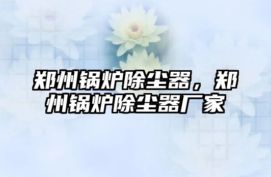 鄭州鍋爐除塵器，鄭州鍋爐除塵器廠家