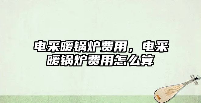 電采暖鍋爐費用，電采暖鍋爐費用怎么算