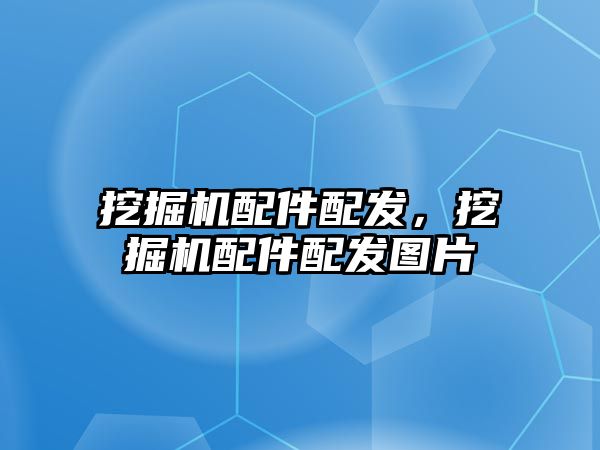 挖掘機配件配發(fā)，挖掘機配件配發(fā)圖片