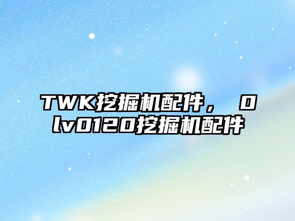 TWK挖掘機配件，ⅴ0lv0120挖掘機配件