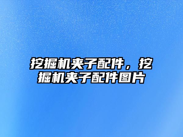 挖掘機夾子配件，挖掘機夾子配件圖片
