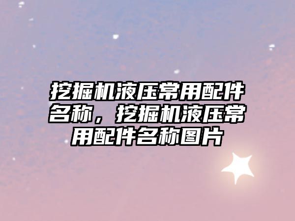 挖掘機(jī)液壓常用配件名稱，挖掘機(jī)液壓常用配件名稱圖片