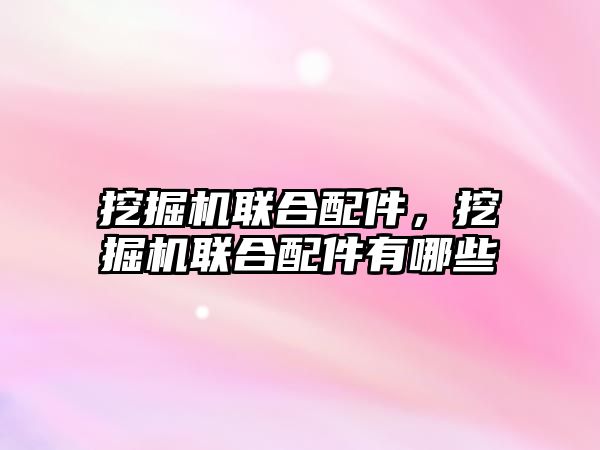 挖掘機聯(lián)合配件，挖掘機聯(lián)合配件有哪些