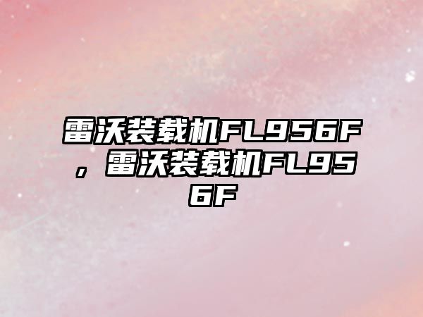 雷沃裝載機FL956F，雷沃裝載機FL956F
