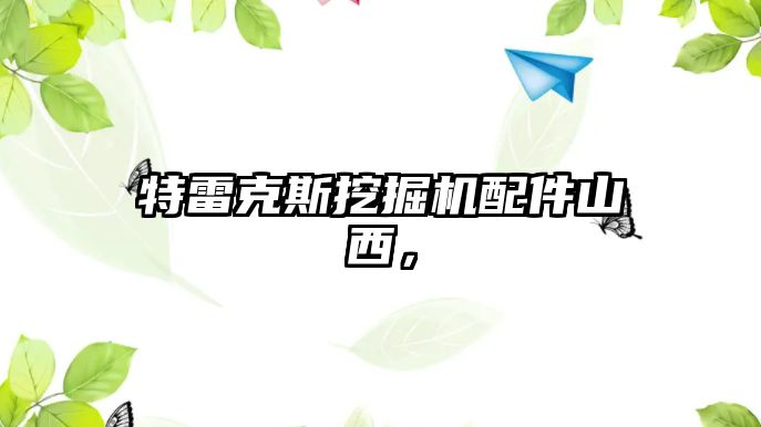 特雷克斯挖掘機(jī)配件山西，