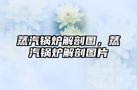蒸汽鍋爐解剖圖，蒸汽鍋爐解剖圖片