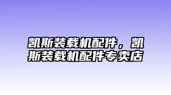 凱斯裝載機(jī)配件，凱斯裝載機(jī)配件專賣店