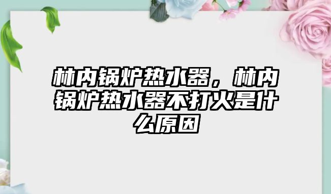 林內(nèi)鍋爐熱水器，林內(nèi)鍋爐熱水器不打火是什么原因