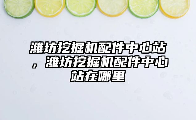 濰坊挖掘機(jī)配件中心站，濰坊挖掘機(jī)配件中心站在哪里