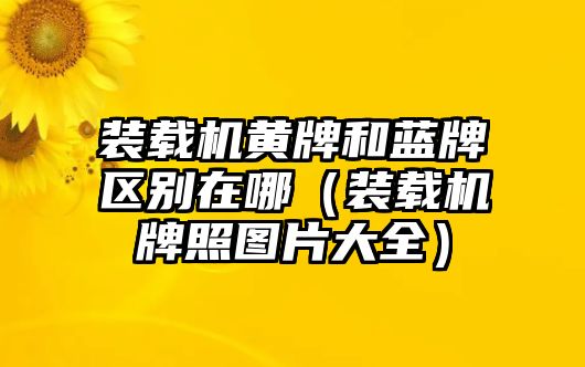 裝載機(jī)黃牌和藍(lán)牌區(qū)別在哪（裝載機(jī)牌照圖片大全）