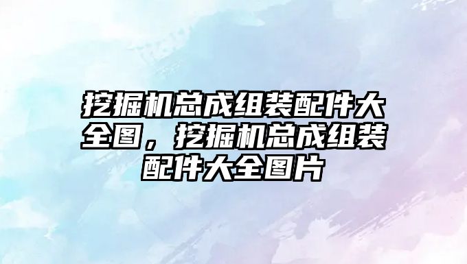 挖掘機(jī)總成組裝配件大全圖，挖掘機(jī)總成組裝配件大全圖片