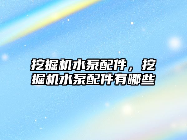 挖掘機(jī)水泵配件，挖掘機(jī)水泵配件有哪些
