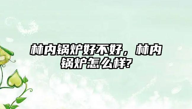 林內(nèi)鍋爐好不好，林內(nèi)鍋爐怎么樣?