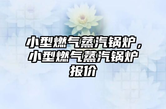 小型燃?xì)庹羝仩t，小型燃?xì)庹羝仩t報(bào)價(jià)