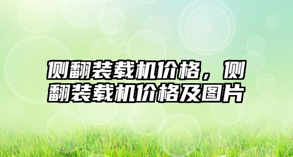 側(cè)翻裝載機(jī)價(jià)格，側(cè)翻裝載機(jī)價(jià)格及圖片