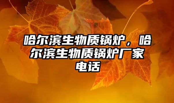 哈爾濱生物質鍋爐，哈爾濱生物質鍋爐廠家電話