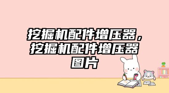 挖掘機(jī)配件增壓器，挖掘機(jī)配件增壓器圖片