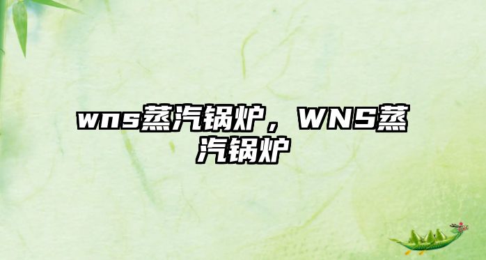 wns蒸汽鍋爐，WNS蒸汽鍋爐