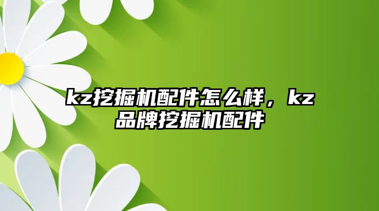 kz挖掘機配件怎么樣，kz品牌挖掘機配件