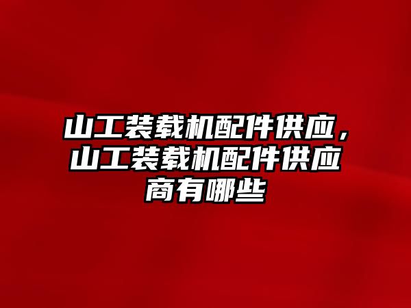 山工裝載機(jī)配件供應(yīng)，山工裝載機(jī)配件供應(yīng)商有哪些