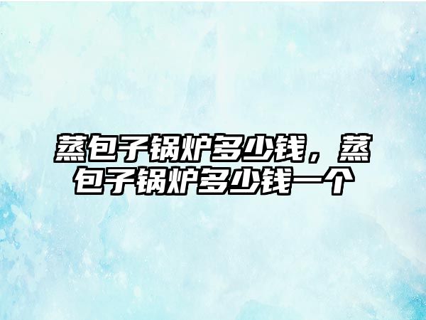 蒸包子鍋爐多少錢，蒸包子鍋爐多少錢一個
