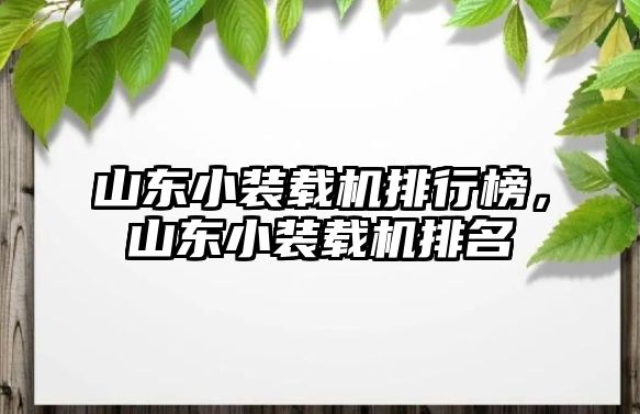 山東小裝載機排行榜，山東小裝載機排名