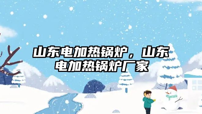 山東電加熱鍋爐，山東電加熱鍋爐廠家
