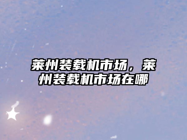 萊州裝載機(jī)市場(chǎng)，萊州裝載機(jī)市場(chǎng)在哪