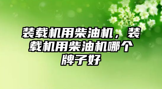 裝載機(jī)用柴油機(jī)，裝載機(jī)用柴油機(jī)哪個牌子好